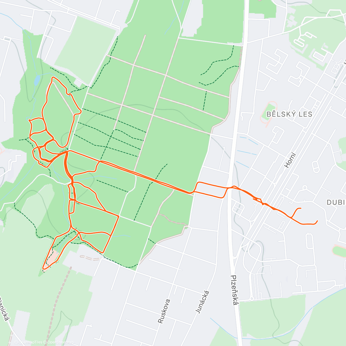 Map of the activity, 🌭🌭🌭 Walk