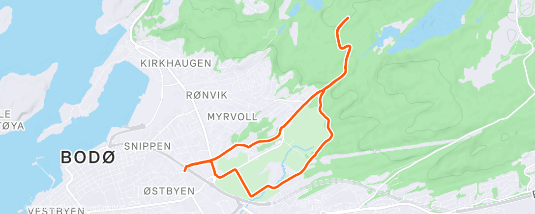 Карта физической активности (Lunch Run)