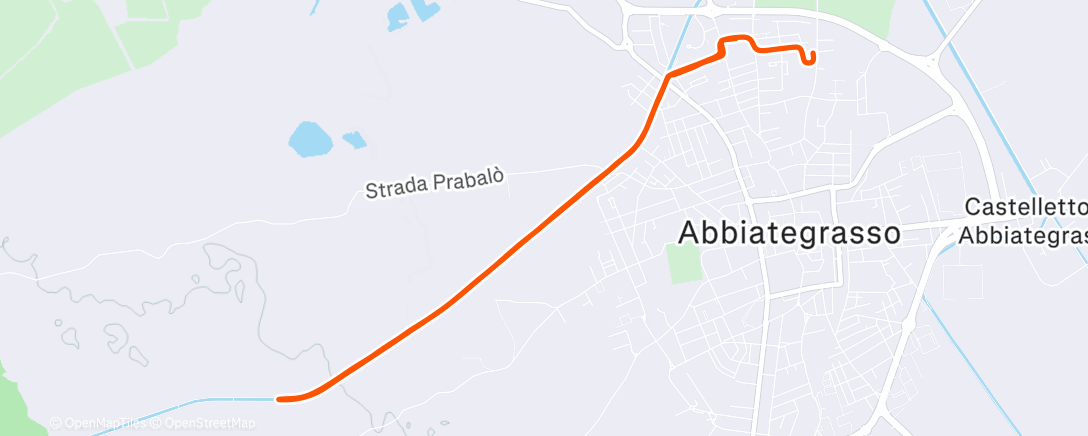 Карта физической активности (Prova caviglia 3... Adesso basta con le prove 😛)