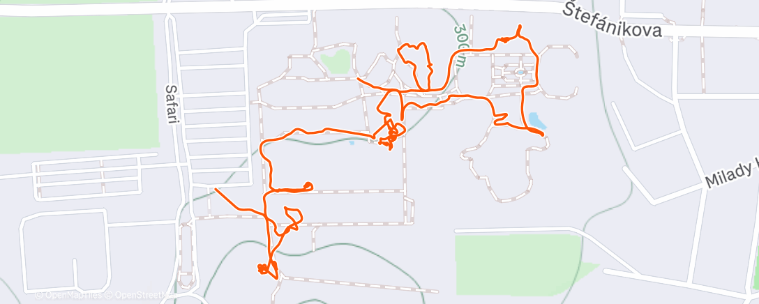 Map of the activity, Morning Walk