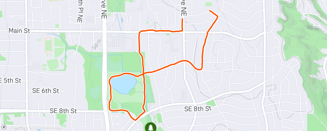 Map of the activity, Morning Run