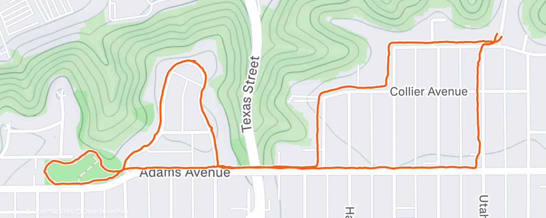 Карта физической активности (Afternoon Walk)