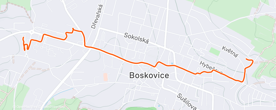 Карта физической активности (Afternoon Walk)