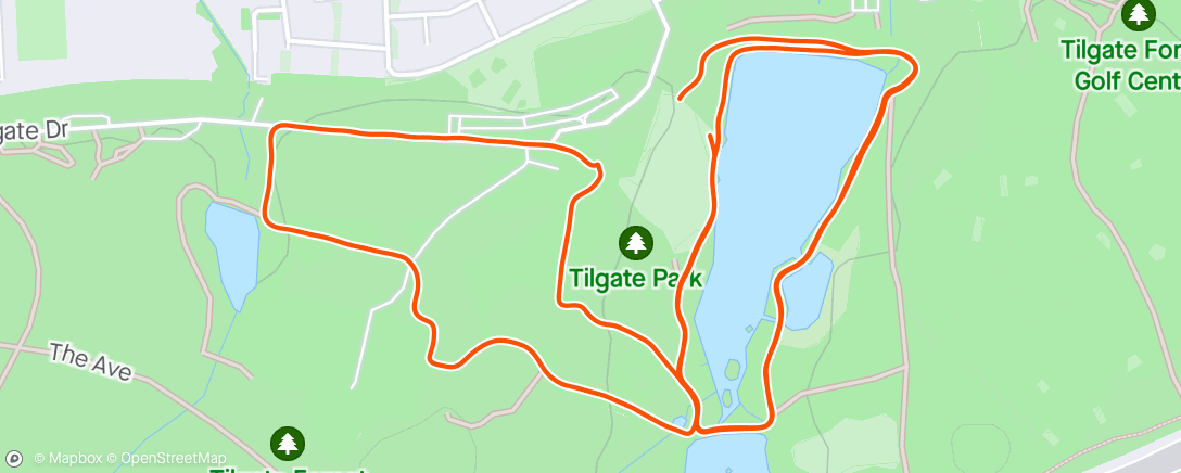 Map of the activity, Tilgate parkrun