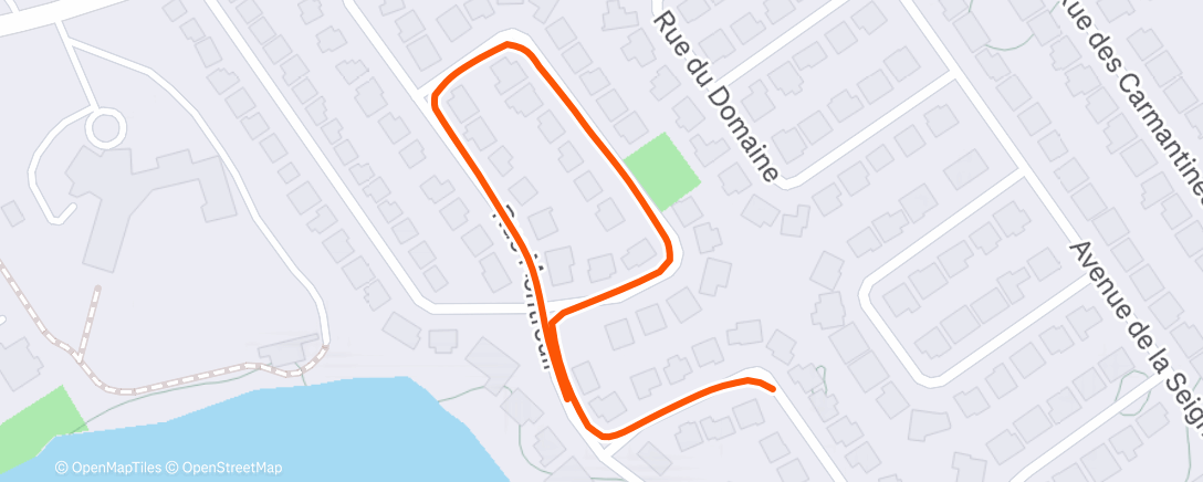 Карта физической активности (Marche en soirée)