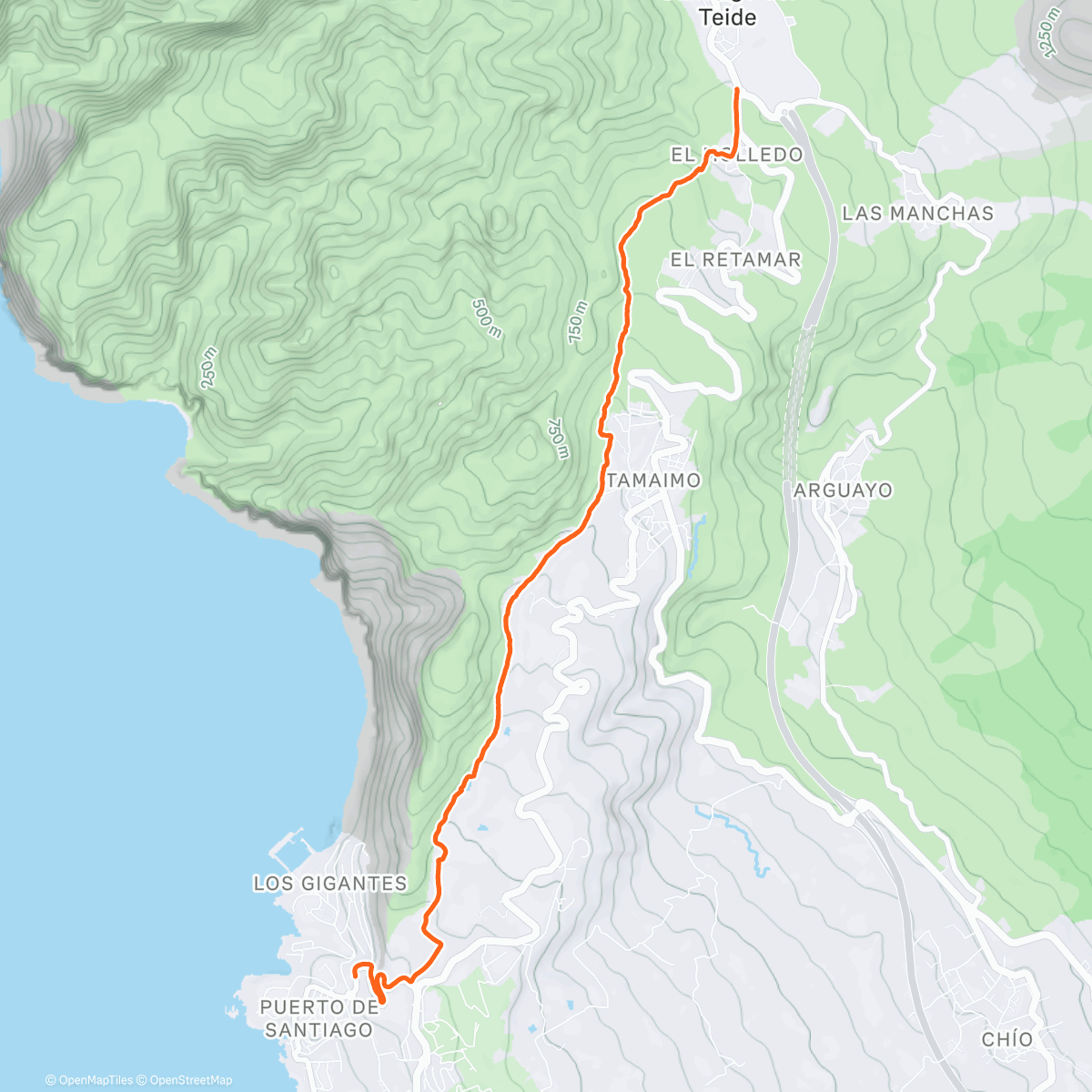 Карта физической активности (Trail run/hike)