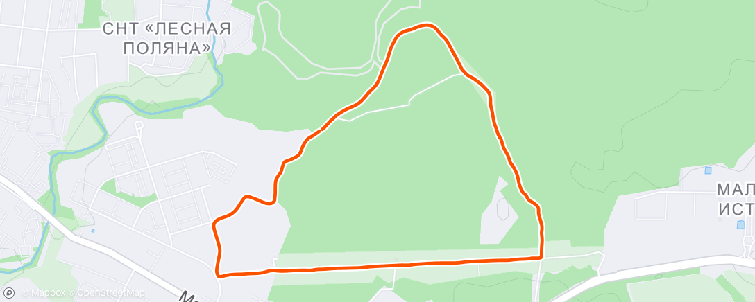 Карта физической активности (Дневная прогулка)