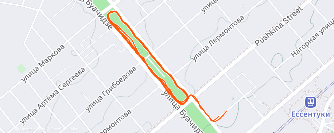 Карта физической активности (Дневной забег)