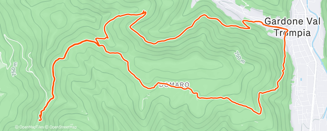 Map of the activity, Sessione di trail running mattutina