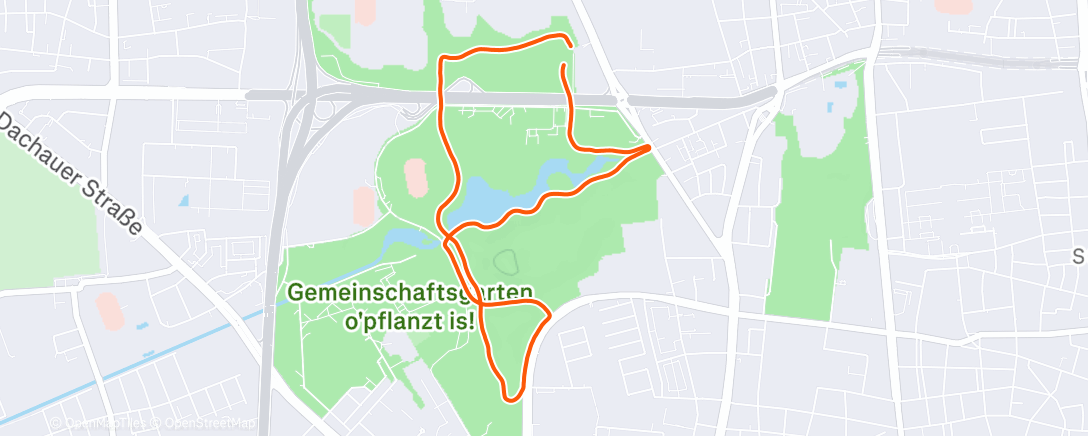 Map of the activity, Evening Run