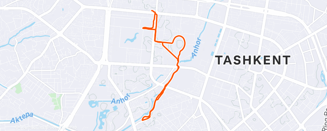 Map of the activity, Вечерний забег