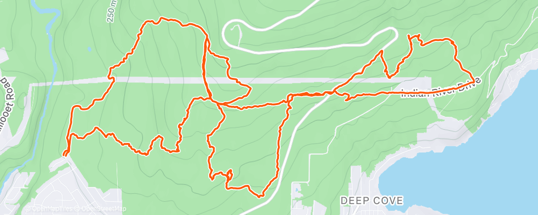 Map of the activity, Sunny & icy
