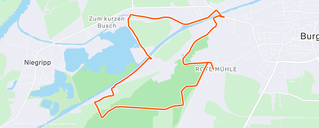 Map of the activity, Traillauf zur Mittagszeit