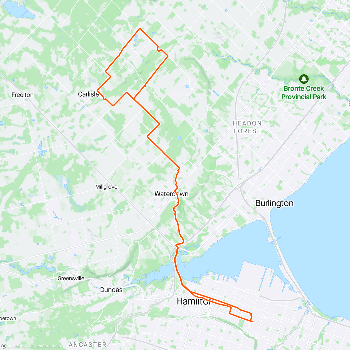 Map of the activity, Pain