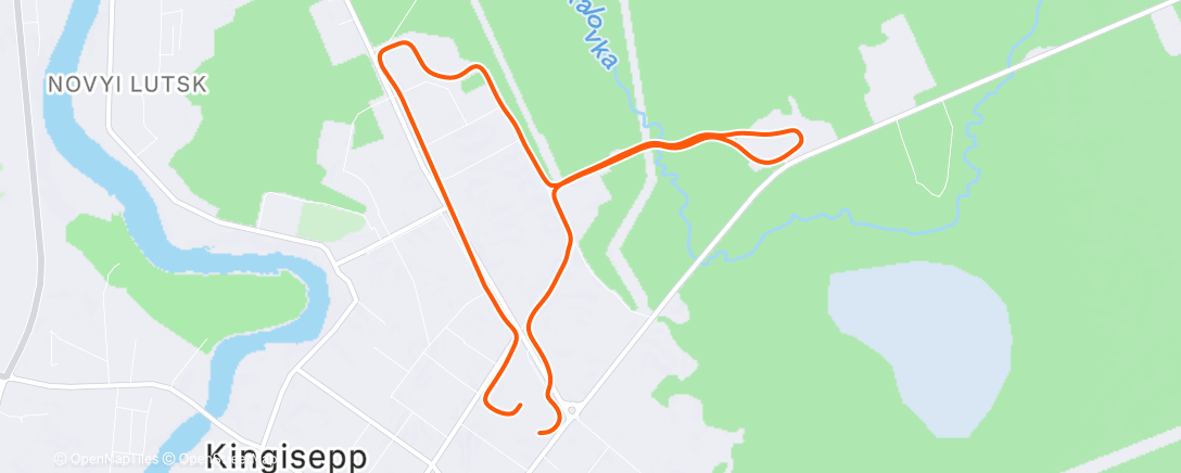 Карта физической активности (Утренний забег)