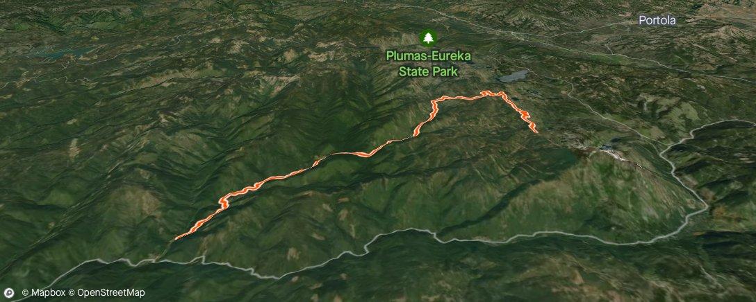 Map of the activity, Downieville: Gold Rim, Pauley Creek, 3rd, 1st