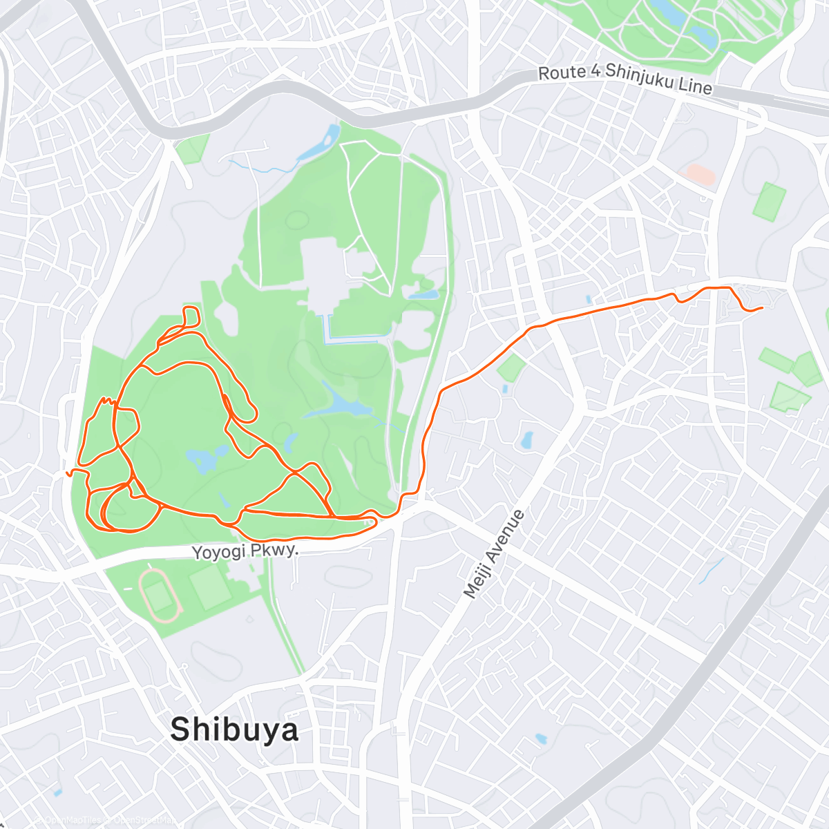 Map of the activity, Drawing some lines at Yoyogi Park