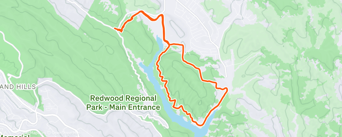 Map of the activity, What's that musical about a sexy middle-class nightclub?