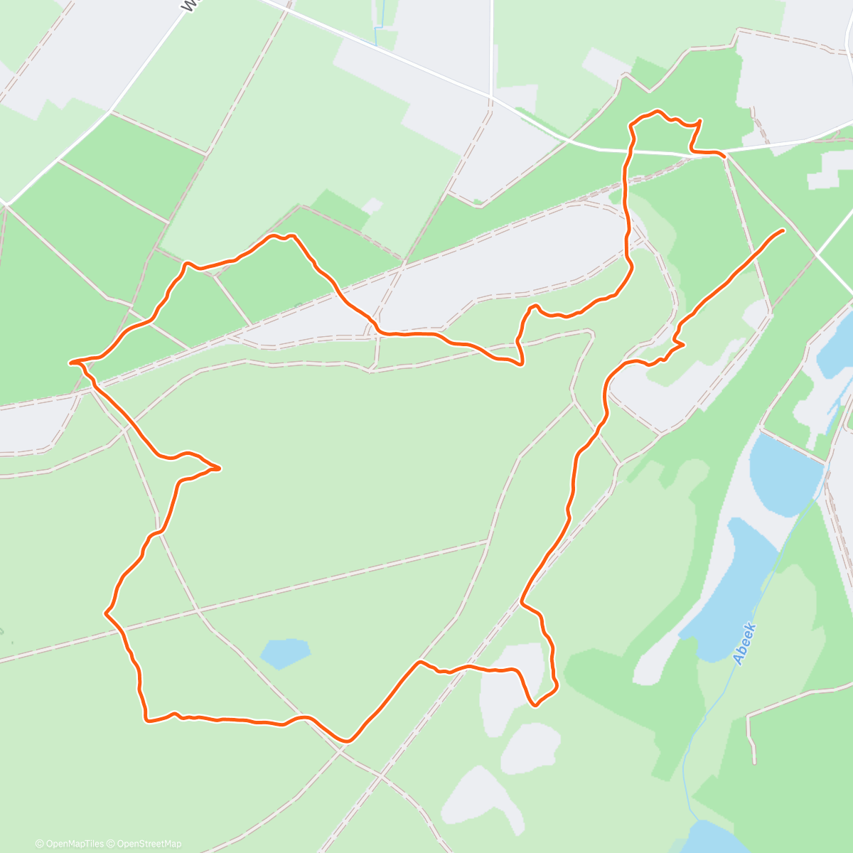 Карта физической активности (Sylvester 5 days, Day 4: M50+)