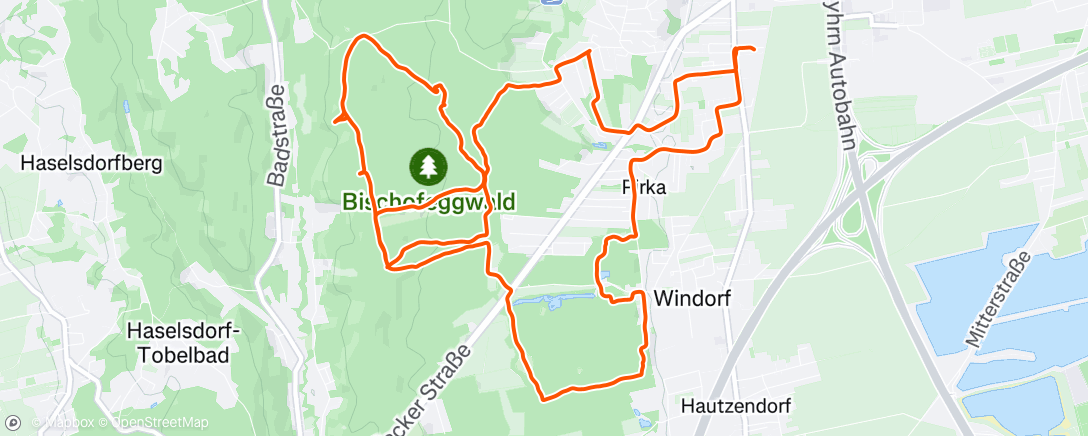 Map of the activity, Afternoon MTB Ride