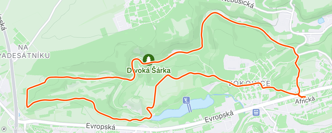 Map of the activity, Afternoon Run