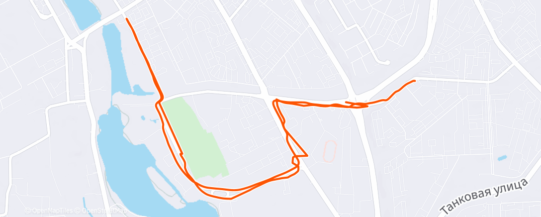 Map of the activity, Вечерний забег