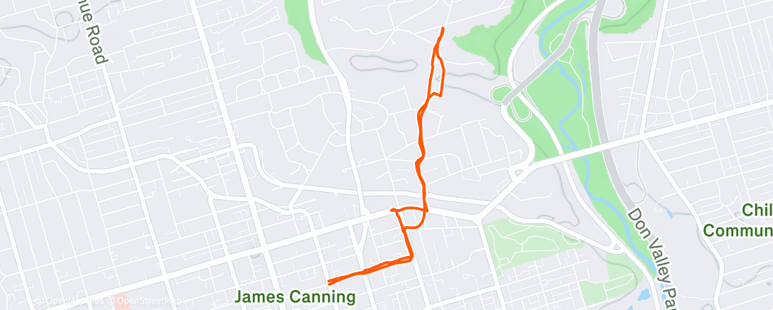 Map of the activity, GPS bugged out