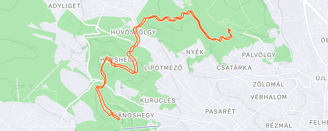 Map of the activity, Lunch Trail Run