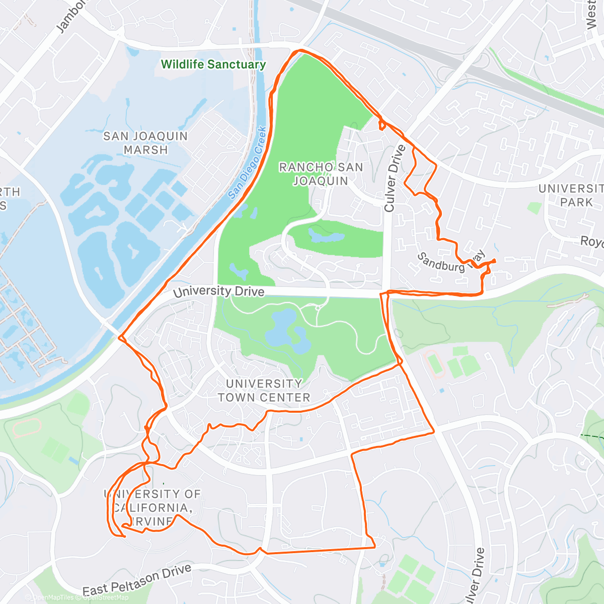 Карта физической активности (Sammy's homemade protein bar: 5/5 taste, 0/5 binding)