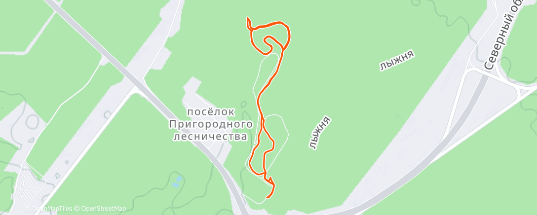 Карта физической активности (Полуденный забег)