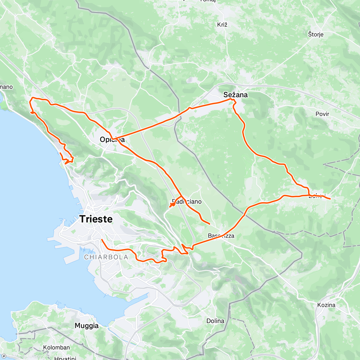 Map of the activity, Non facoltativo