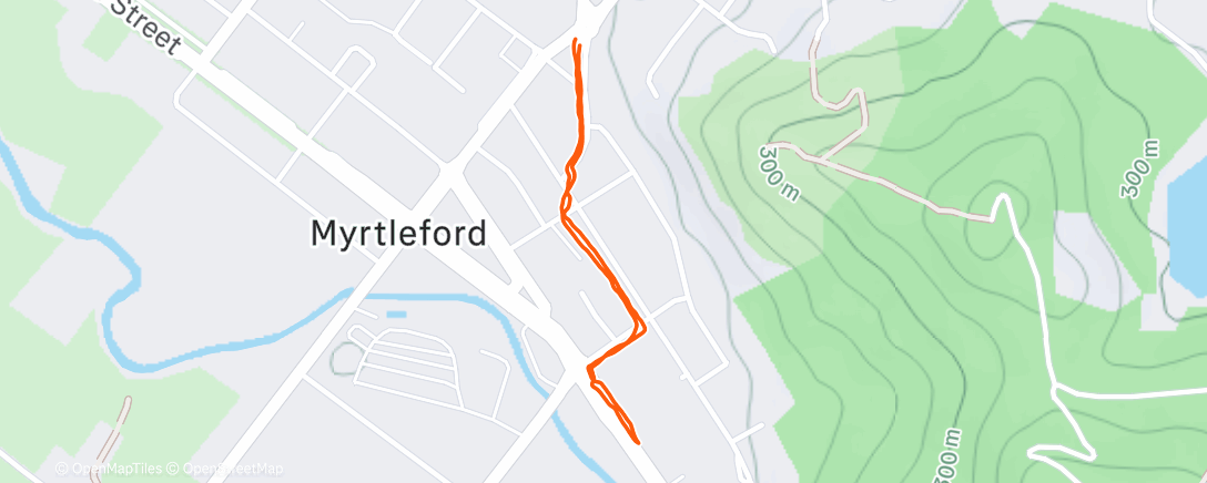 Карта физической активности (Morning Walk)