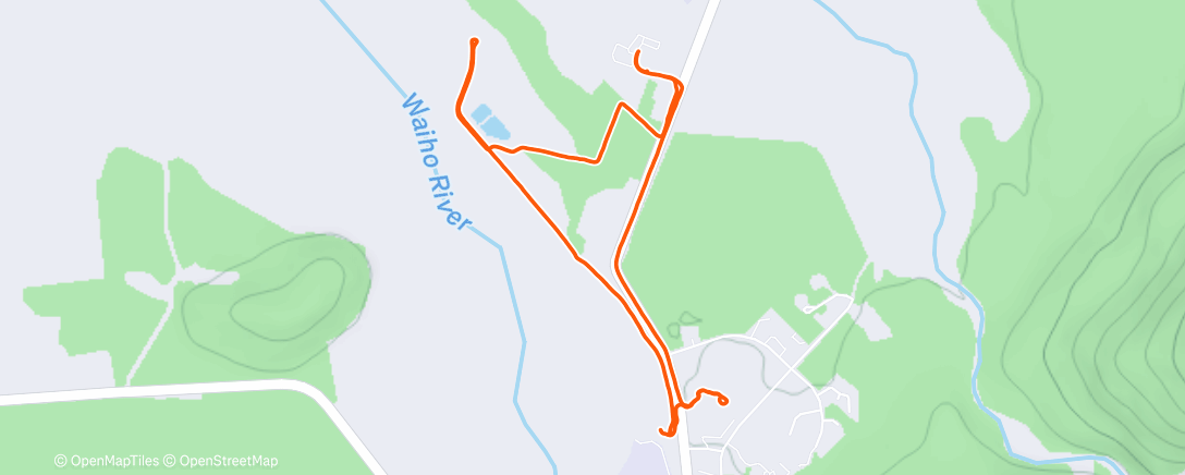 Карта физической активности (Involuntary Ankle Strength Workout)