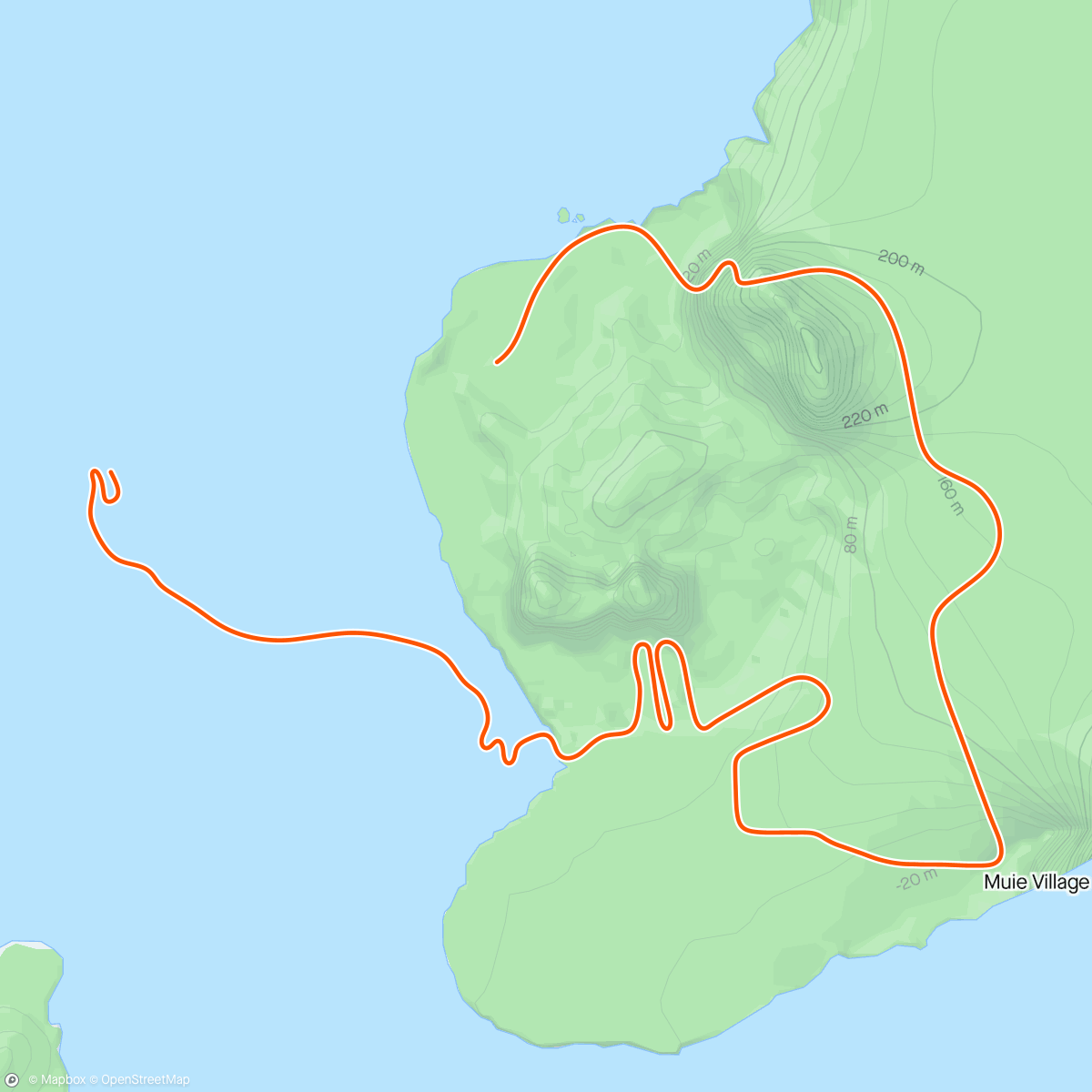 活动地图，Zwift - Pacer Group Ride: Volcano Flat in Watopia with Taylor