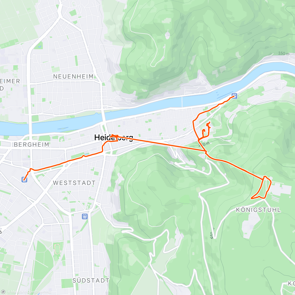 Map of the activity, Heidelberg walking 🇩🇪