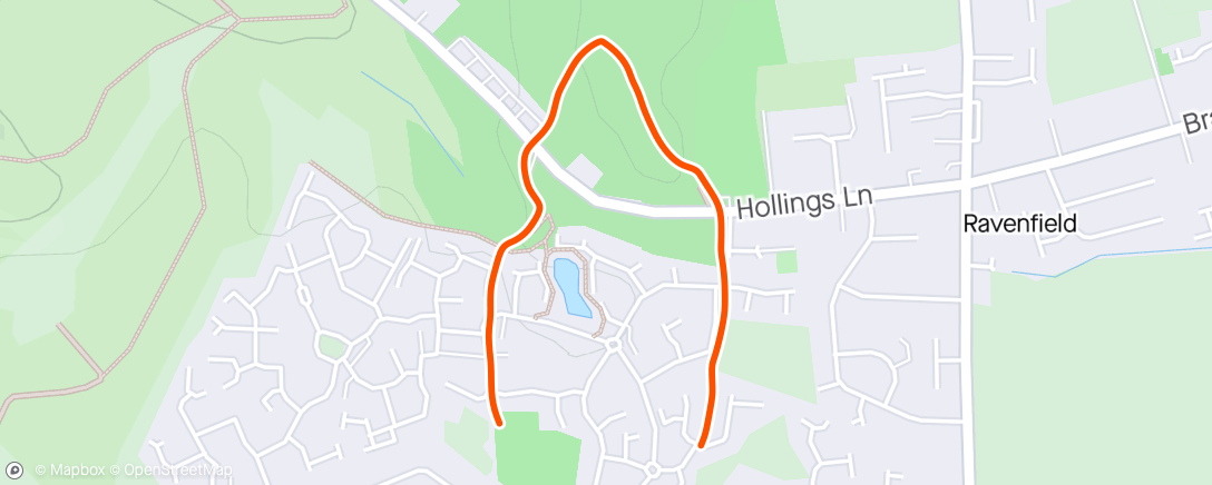 Map of the activity, Morning 🐕 Walk