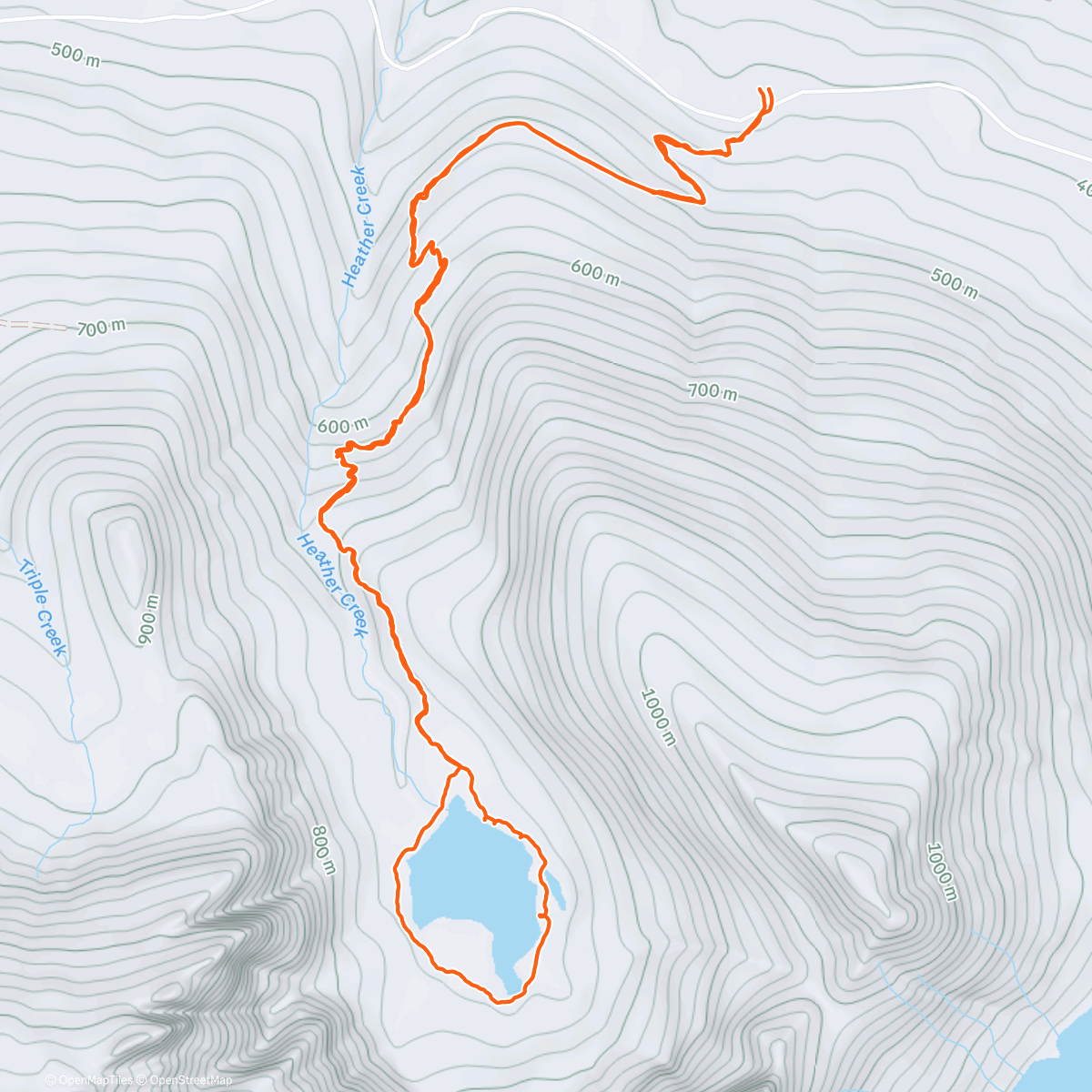Map of the activity, Stump town