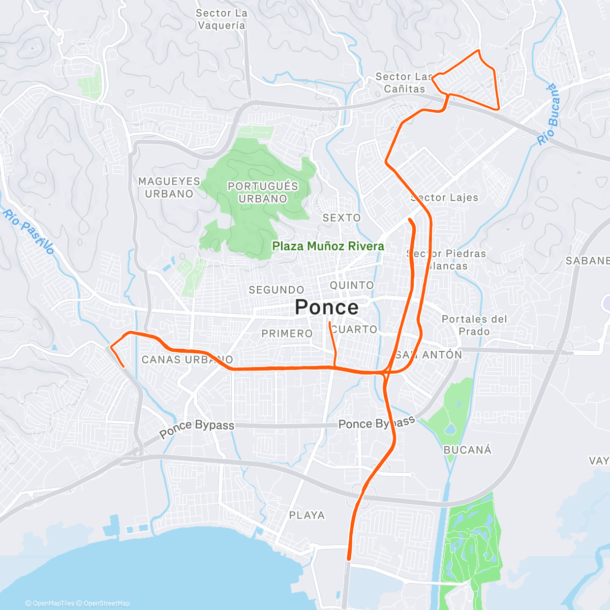 Map of the activity, Morning Run