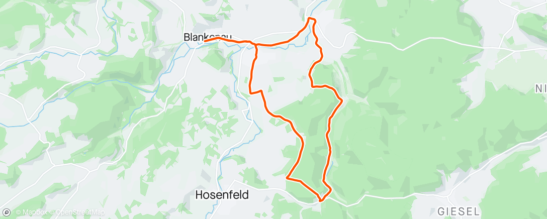 Mapa de la actividad (Easy Trail Run)