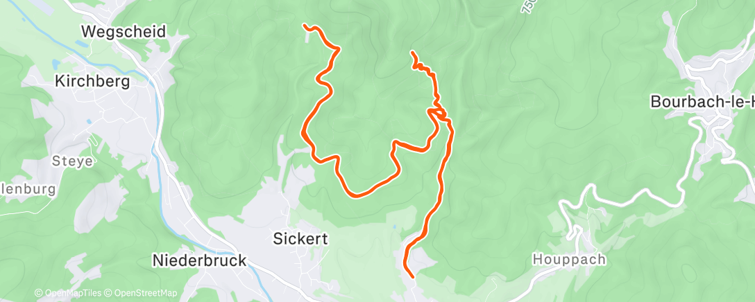 Map of the activity, Trail le matin