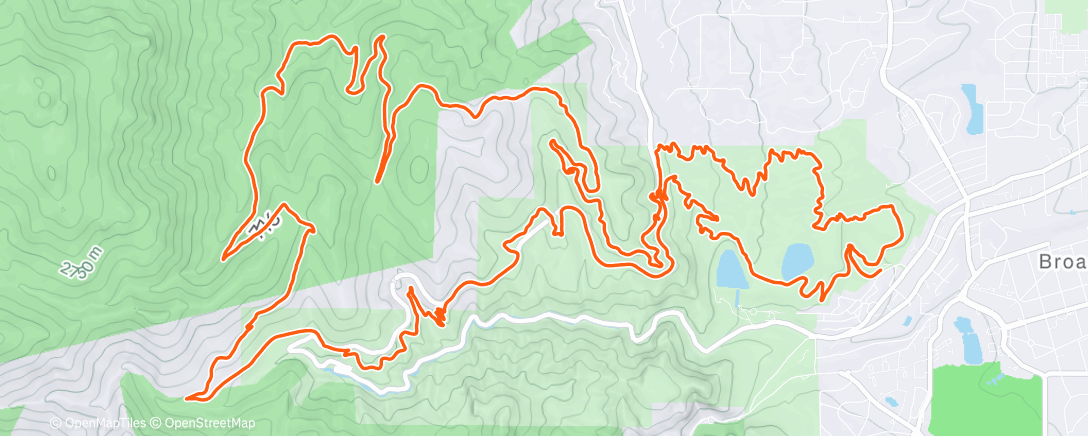 Mapa de la actividad (Morning Trail Run)