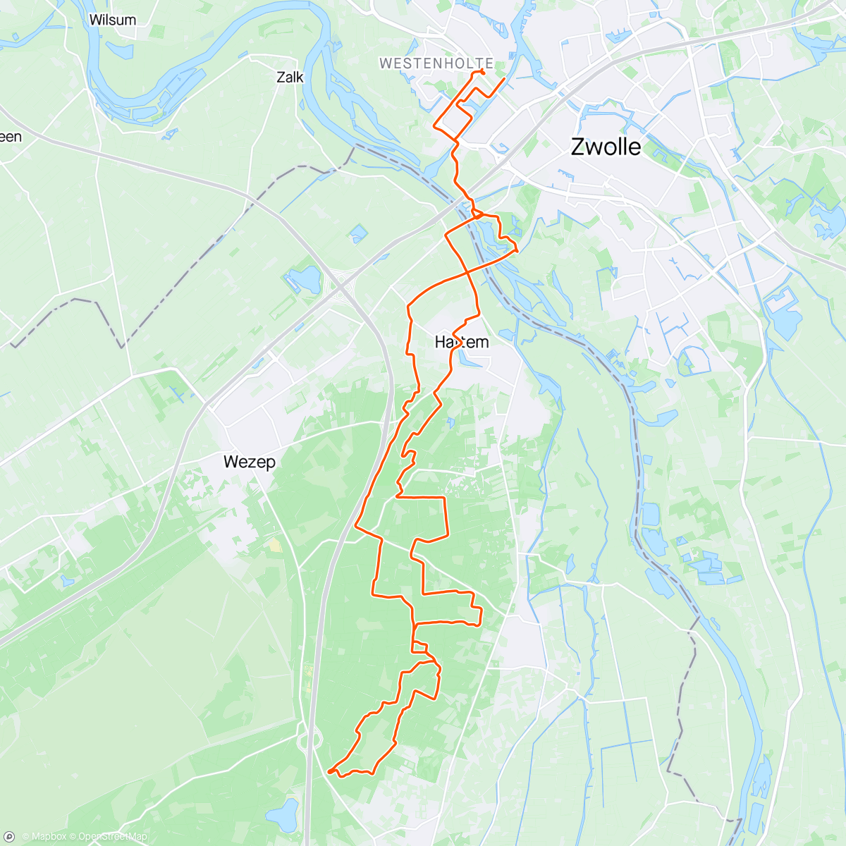 Map of the activity, MTB Ride 🚴‍♀️ 🌲 🌳