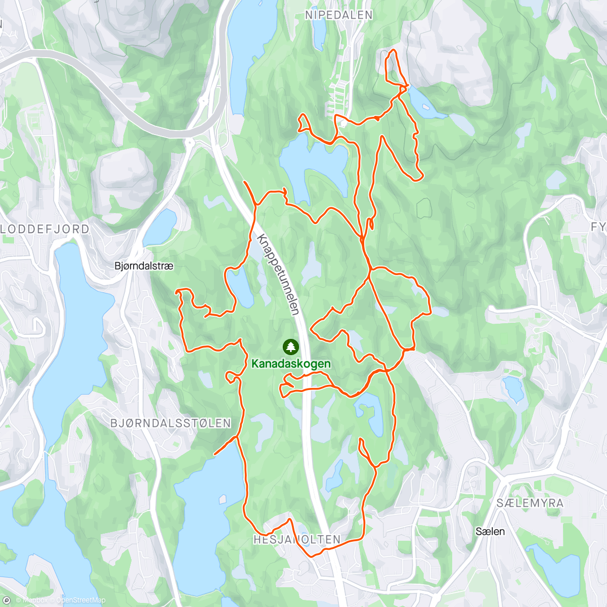 Map of the activity, Morning Hike í Kanadaskogen