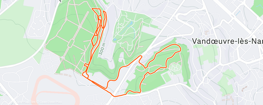 Карта физической активности (Trail Running V&V)