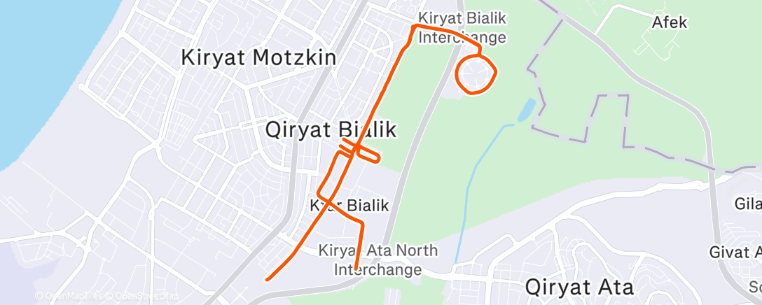 Карта физической активности (Morning Run)