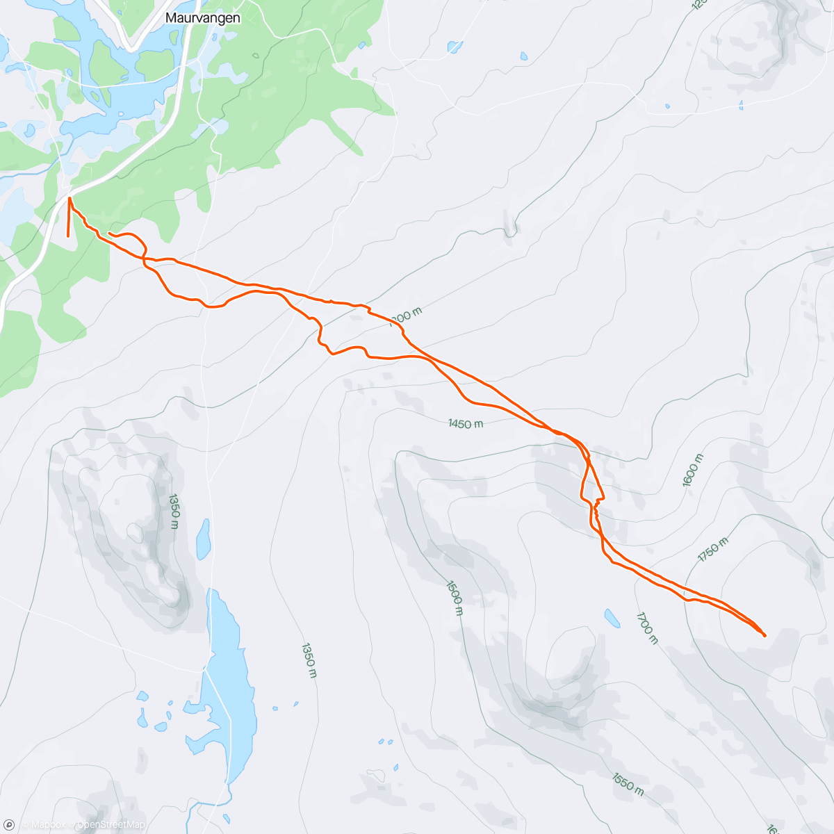 「Topptur Heimdalshøe 1843m」活動的地圖