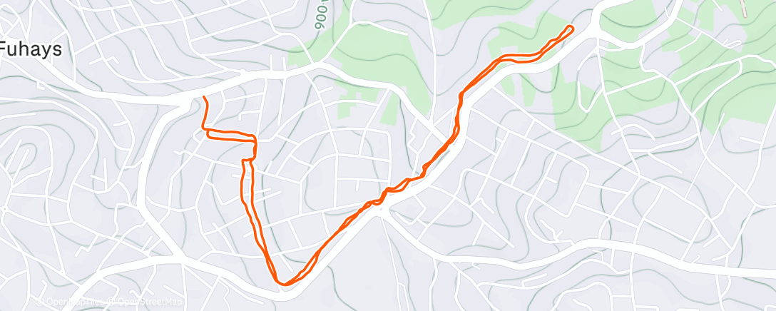 Map of the activity, Night Run