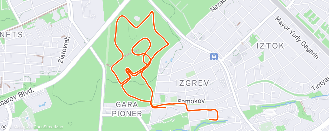 Map of the activity, Morning Run