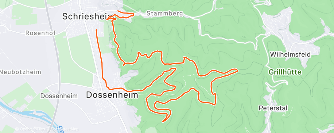 Map of the activity, Fridays