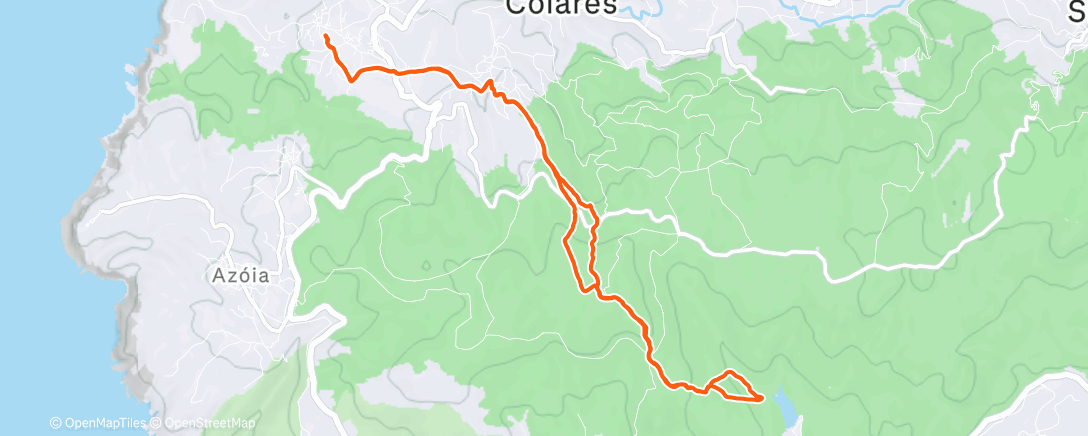 Карта физической активности (Morning Run)